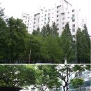 신동아아파트 이미지