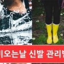 안앤리 이미지