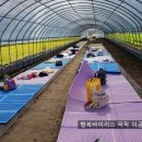 신식농장