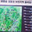 깃대봉_숲길(등산)1코스 Daum카페
