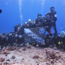 연세봄스킨 이미지