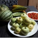 정감이간다 이미지