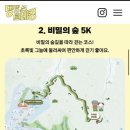 댕댕라운지 | 2026 홍천 비발디파크 댕댕트레킹 후기