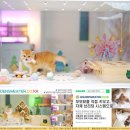 골든스웨터 캐터리 이미지