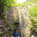 경희대엑스포태권도 이미지