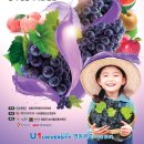 영동 8 ~ 영동 9 이미지