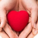 부모교육 상담사 2급 과정 이미지