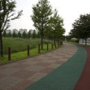 호수공원수변공원 이미지