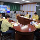 완도13호 이미지