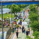 장미의거리13 이미지