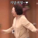 [제주 직장인 일상] 컬리와 테무로 버무려진 일상 (추천템 많음)