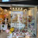 디어퐁퐁 이미지