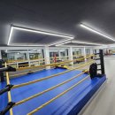 팀맥 스타짐 이미지