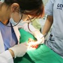 유디구로치과의원 이미지