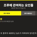 3만명이 감탄한 조루 치료 끝판왕, 비뇨기과 의사가 드디어 공개! 이미지
