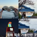 논골담길2 | 동해 묵호 여행 가볼만한 곳 논골담길 말똥도나스 무코야 선물가게