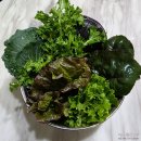 참 착한 정육점 | 한우선물세트 1++ 구성 좋고 맛있는 착한한우 정육점 추천