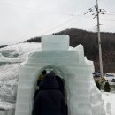 영어영농조합법인여자도 | 청양 알프스마을 얼음분수축제 눈썰매장 개장 내돈내산 가오픈 방문 후기