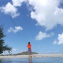 보라보라 이미지