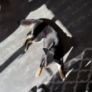 사직북로63번길 이미지