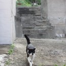 텃밭식당 이미지