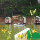 천평지낚시터 이미지