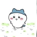 피자타임 이미지
