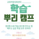 로드맵플러스에듀