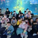 은평 백호 태권도장 이미지