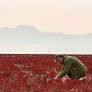 밥정(情) 이미지