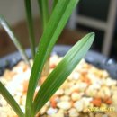 사봉면-7 이미지