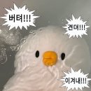 유림카공업사 | 헤맨 만큼 내 땅이다. (feat. 소중한 2주년❤️)