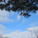 시티파크호텔 | [여수 골프장] 여수 시티파크 CC라운딩 후기: 도심 속 힐링과 화사한 홍매화