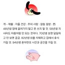 미리보는 띠별 내일의 운세 (9월29일) 이미지