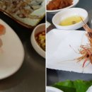 따식이네포차