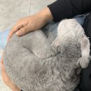 독크루 첨단점 이미지