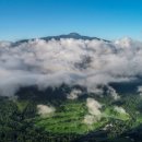 월드골프 이미지