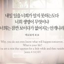 오늘의 '영어성경 사진'(630강) “안개와 같은 삶”(야고보서 4장 14절) 이미지