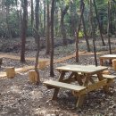 생이소리 이미지