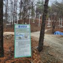 옥화자연휴양림 | 옥화 자연휴양림 방문 후기 (캠핑·숙소·아이와 가기 좋은 힐링 공간)