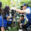 둔덕농장3 이미지