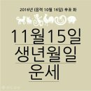 ♧ 2016년 11월 15일 화요일 간추린 아침뉴스 ♧ 이미지