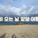 웨이브웍스 | 비 오는 날 떠난 양양 당일치기 여행｜싱글핀 에일웍스·르온다카페 후기