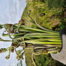 금당목장 이미지