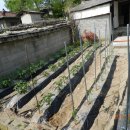 가덕농장 이미지