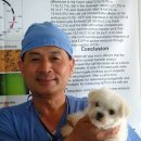 맘모스PC 이미지