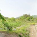 삼태리농장 이미지