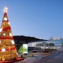 보도중로2-4 이미지