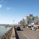 삼천포세꼬시 이미지