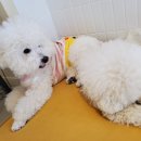 멍설유치원 이미지